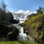 Alfred Tanner - @talfred821 - Instagram