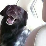 Alfred Torres - @to.alfred - Instagram