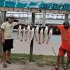 Alfred Trejo - @alfred.trejo21 - TikTok