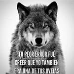 alfredo trejo - @alfred_trejo_999 - Instagram
