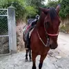 Alfredo Trejo - @alfredo.trejo752 - TikTok