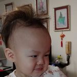 崔蟹 - @alfredtsuihk - Instagram