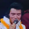Alfred Tamplin - @alfredtamplin - TikTok