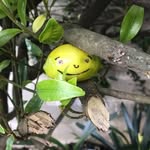 Darrel - @tumbling.alfred - Instagram