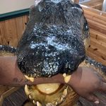 Alfred Turner - @alfred.turner.90663 - Instagram