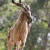 Alfred Utton - Facebook