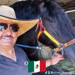 Alfred Vazquez Navarrete - @alfredovazquez555 - Instagram