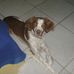 Alfredo Velarde - Facebook