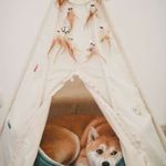 Alfred Webster - @q6usvq5u4771y07zno9b - Instagram