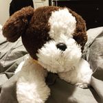 Alfred Werner - @alfredthestuffedpuppy - Instagram