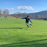 @alfredwerner - Instagram