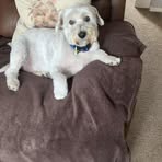 Alfred Wiggins - Facebook