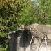 Alfred Wild - Facebook