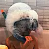 Alfred Wild - @alfred.wild - TikTok