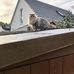 Alfred Wilkinson - Facebook
