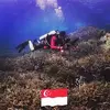 Alfredyip8875 - @alfredyip102 - TikTok