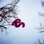 Alfreda McCray - @bagfreetrees - Instagram