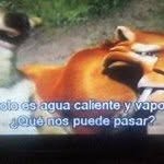 Alfredo Alanis - @alanis2585 - Instagram