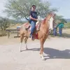 alfredo Alanis - @alfredoalanis357 - TikTok