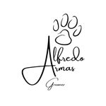 Alfredo Armas - @alfredoarmas_groomer - Instagram
