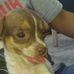 Alfredo Balderas - Facebook
