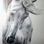 Alfredo Bocanegra - @alfredo.bocanegra.3766 - Instagram
