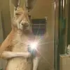 Alfredo Borja - @alfredorborja - TikTok