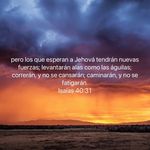 Alfredo Borjas - @danielborjas25 - Instagram