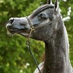 Alfredo Capetillo Ortiz - @alfredocapetilloortiz - Instagram