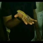 Isla - @alfredograhamjox96072025 - Instagram