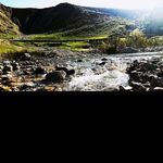 @alfredo_grant - Instagram