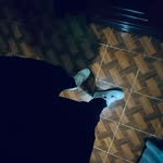 Alfredo Huerta - @axl_huerta - Instagram