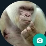 Alfredo Labastida - @alfredo_labastida - Instagram