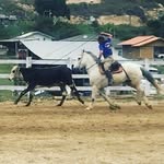 Alfredo Enrique Franzoi Lemos - @_fedo_lemos_ - Instagram