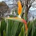 Alfredo Lemos - Facebook