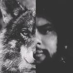 Alfredo, O Lobo - @alfredoslima.wolf - Instagram