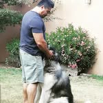 Alfredo Márquez - @j.alfredomarquez - Instagram