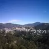 alfredomarroquin986 - @alfredomarroquin986 - TikTok