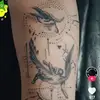 Alfredo Mayoral - @alfredomayoral1 - TikTok