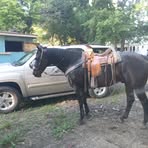 Alfredo Nunez - Facebook