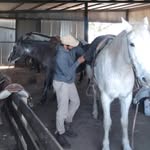 Alfredo Núñez - @alfnuvi - Instagram