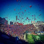 jose alfredo obando flores - @josealfredoobandoflores - Instagram
