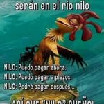 Alfredo Roca - @alfredo.roca.543 - Instagram