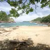 alfredo rogel - @alfredo.rogel4 - TikTok