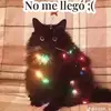 Alfre:) - @alfredo.rosas926 - TikTok
