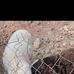 Alfredo Ruvalcaba - Facebook