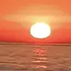 Alfredo simoes - @alfredo.simoes8 - TikTok