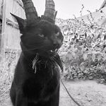 Alfredo Simon - @alfredo.simon.9216 - Instagram