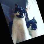 Alfredo Taboada Maldonado - @a_lfii__ - Instagram