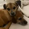 AlfredoTan - @alfredo.tan - TikTok
